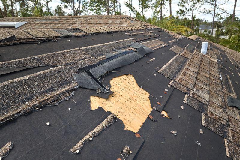 Weatherproofing Repairs